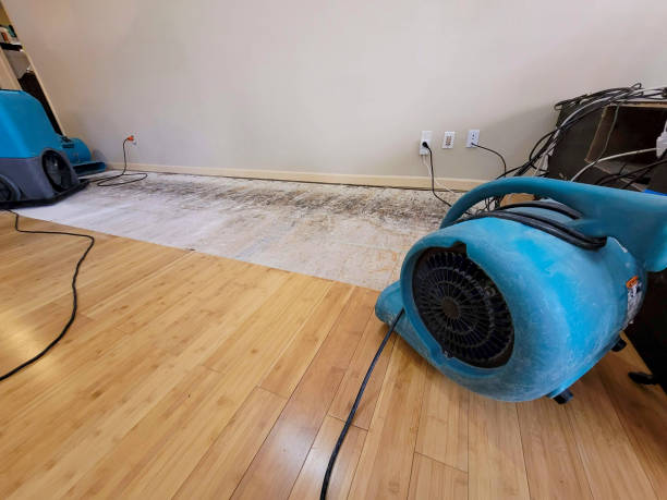 Professional Basement Flood Cleanup technician working in Cisco, TX